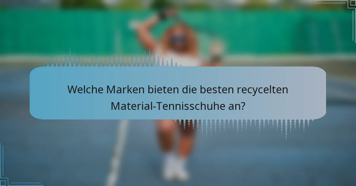 Welche Marken bieten die besten recycelten Material-Tennisschuhe an?