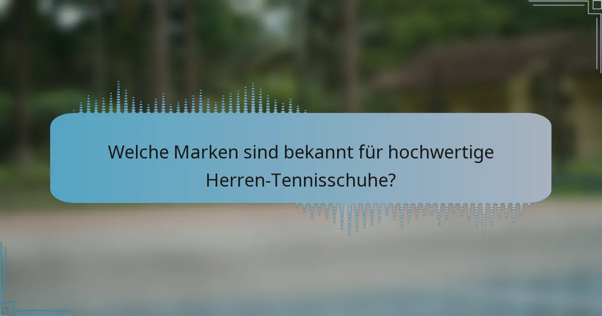 Welche Marken sind bekannt für hochwertige Herren-Tennisschuhe?